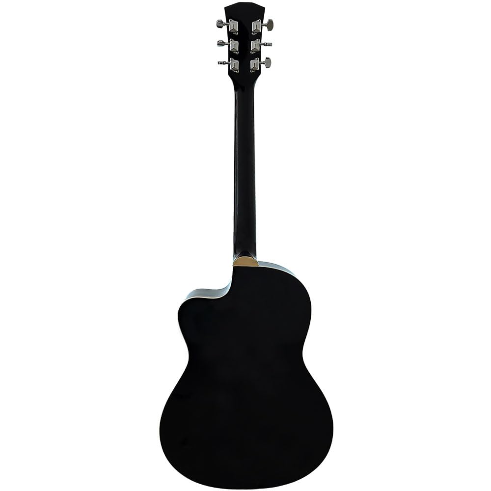 Pluto PA39C-201 Acoustic Guitar NT