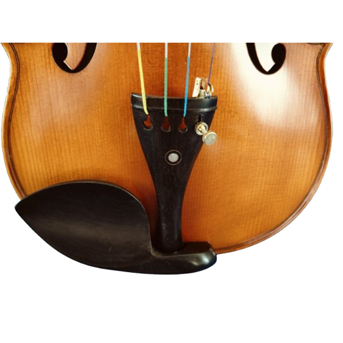 Sergio Tordini STC445G Glossy Solid Top Violin with Bow/Case/ and Rosin