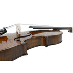 Procraft PR VHF301E 4/4 Violin