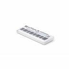Novation Launchkey 49 White [MK4]