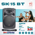 Aerons SK15A PORT BT Portable Speaker