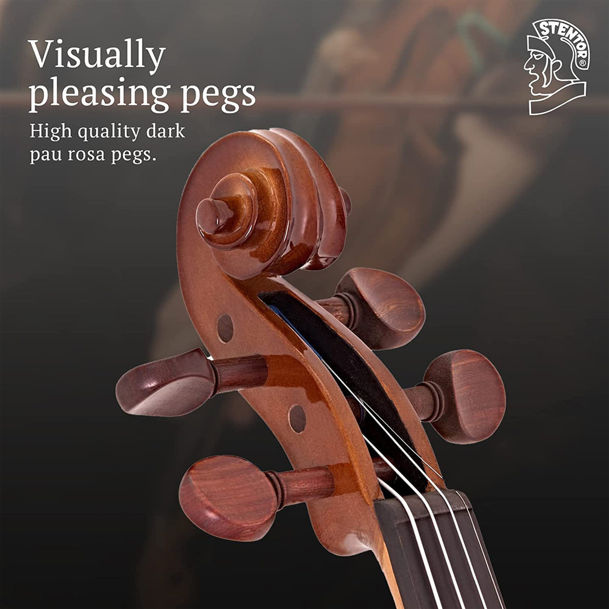 Stentor violin outfit 1400A2 with Bow and Box