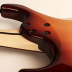 Cort G Series Electric Guitar G250 TAB