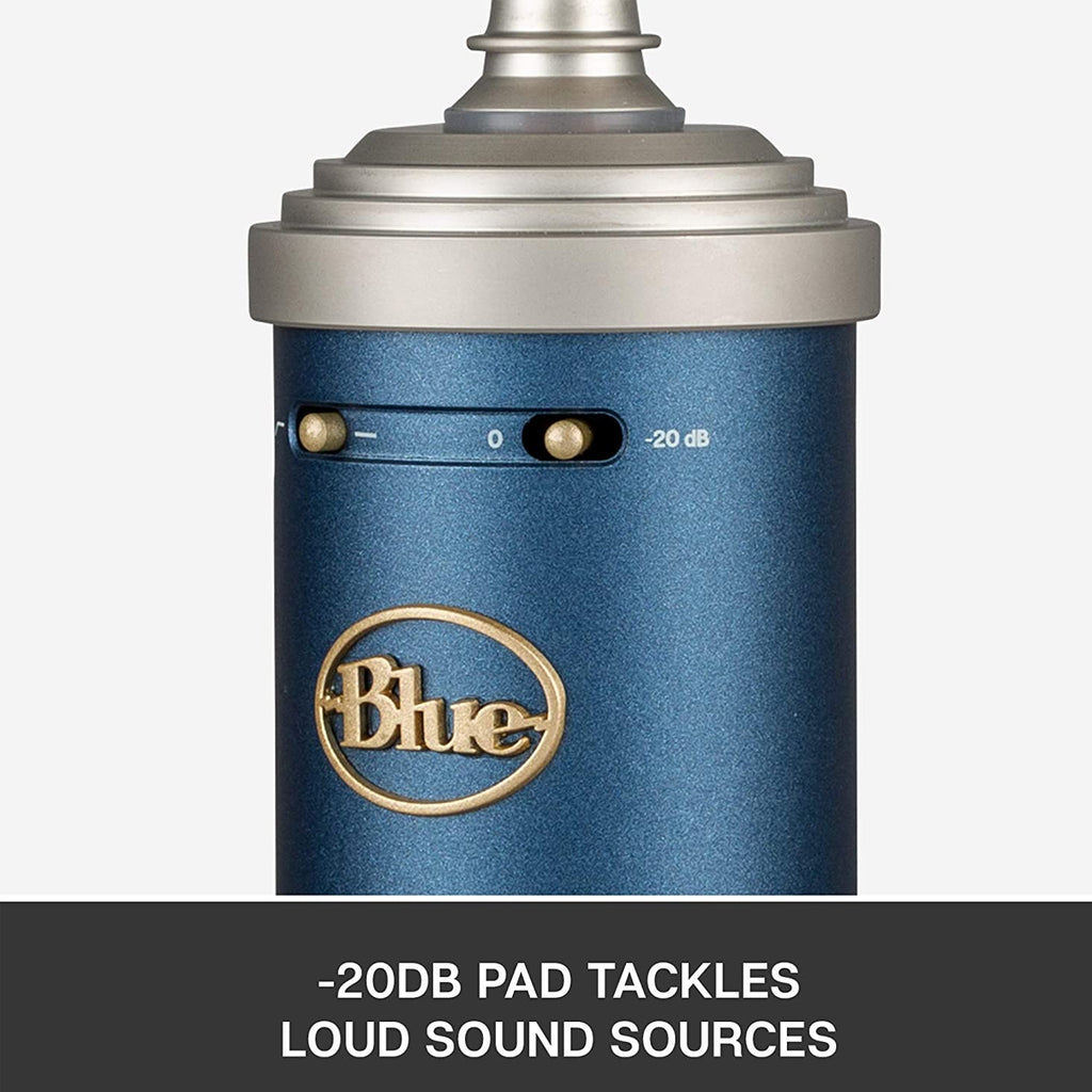 Blue Bluebird SL Mic