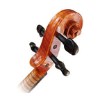 Sandner CV-4 Concert Violin outfit:SA-207 case and B-7 bow