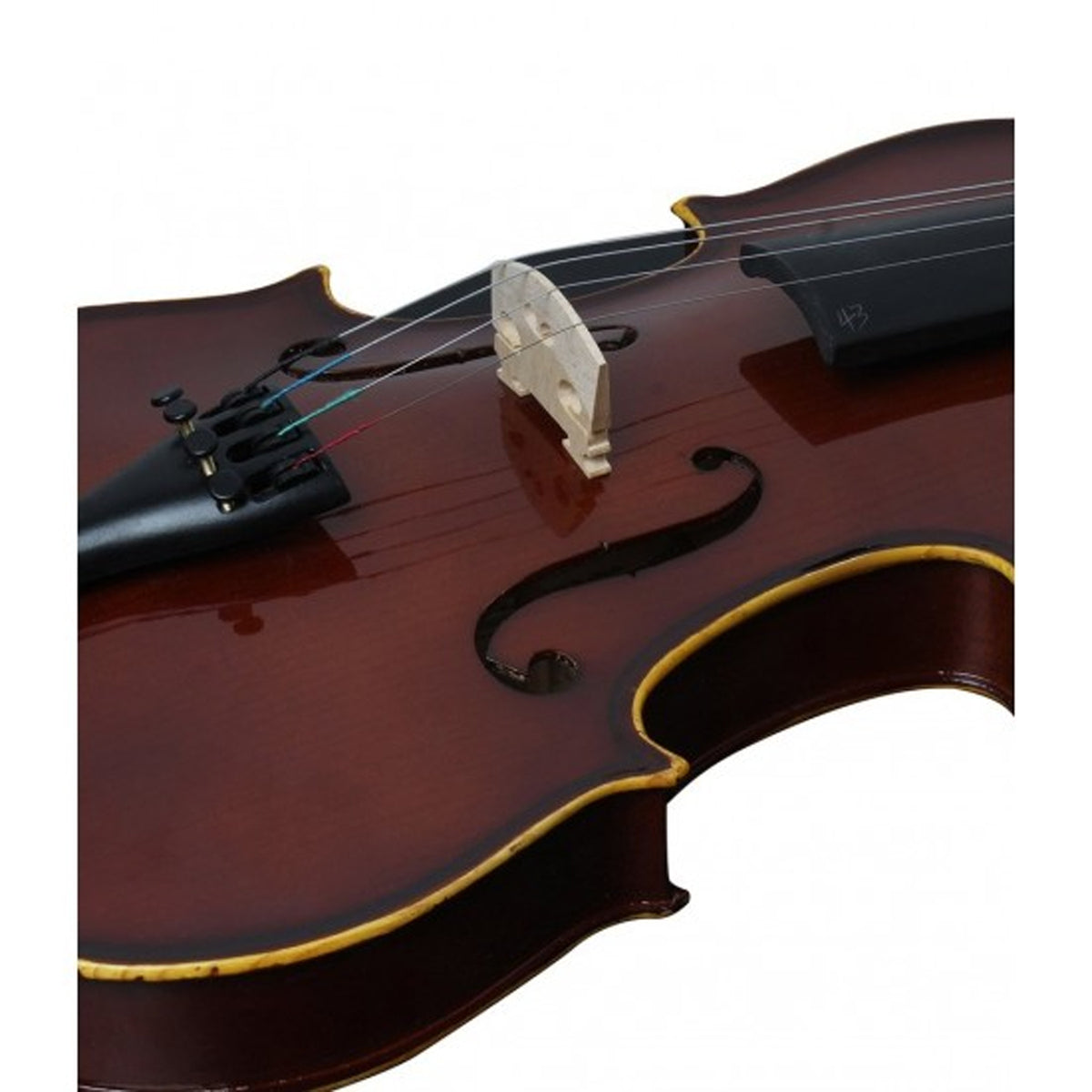 Procraft PR VA1 Violin - Dark Nature ( 4/4 Full Size)