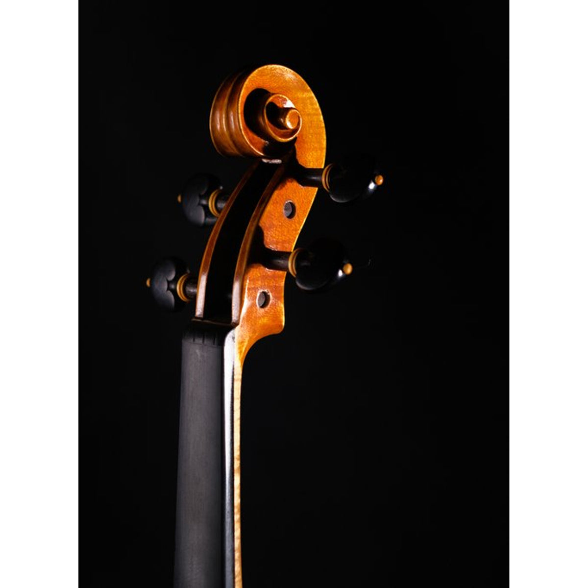 STRYDOM HV 11 VIOLIN