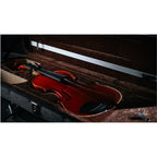 STRYDOM VIOLIN HV 31