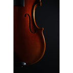 STRYDOM VIOLIN HV 41