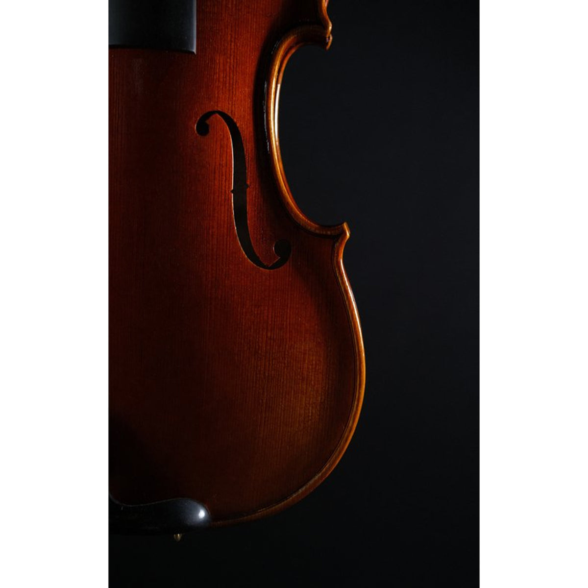 STRYDOM VIOLIN HV 41