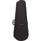 Valencia V160 4/4 Violin