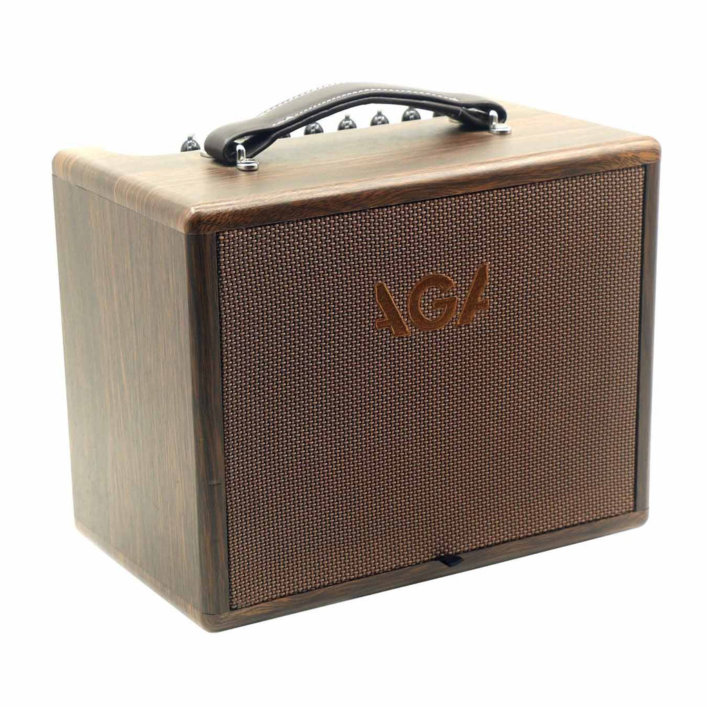 Procraft AGA SC-40 Acoustic Guitar Amplifier