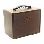 Procraft AGA SC-40 Acoustic Guitar Amplifier