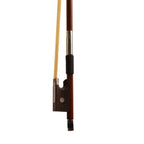 Procraft PR VS1 - Acoustic Violin with Bow-Rosin-Box - Dark Natural