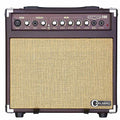 Carlsbro Sherwood 20R(20watt) Acoustic Guitar Combo Amp Reverb