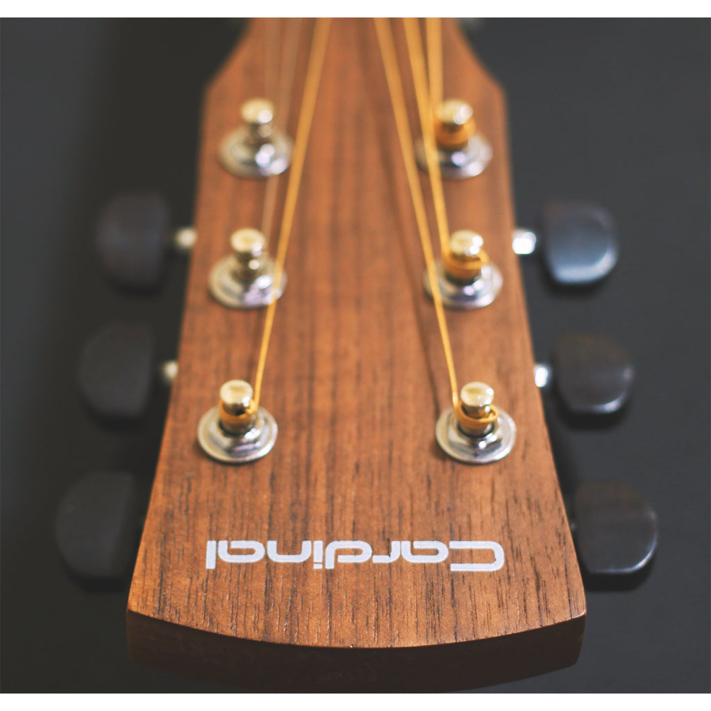Cardinal TS-1 Acoustic Guitar - Mahogany
