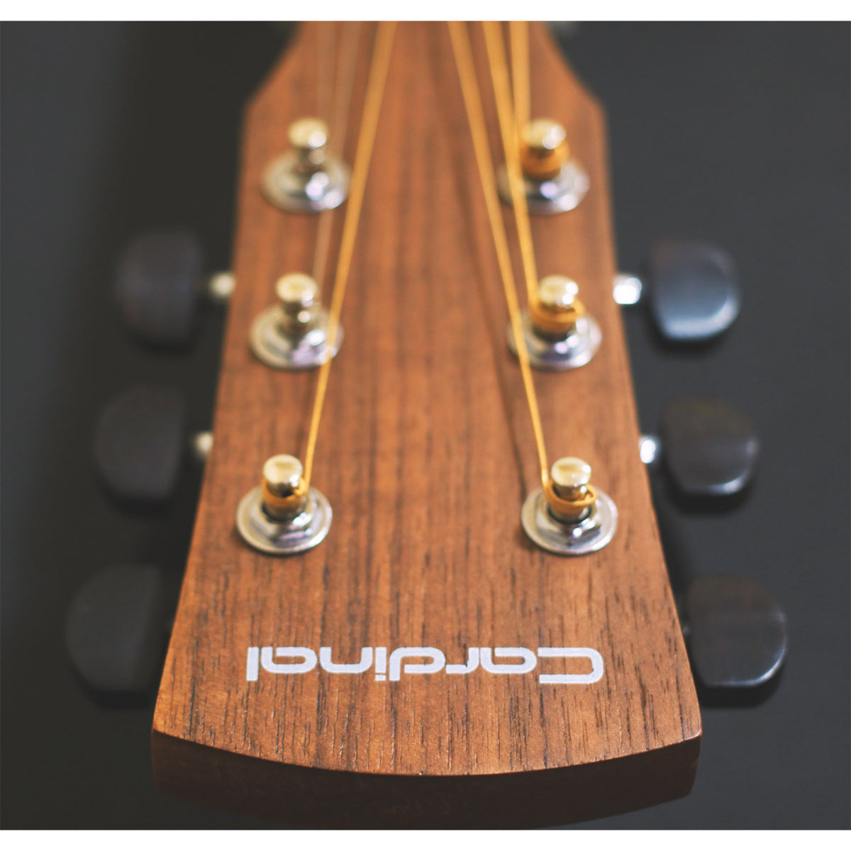 Cardinal TS-1 Acoustic Guitar - Mahogany