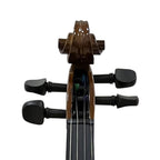 Stentor 1016A Standard Violin 4/4