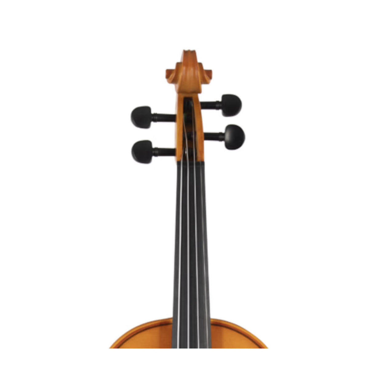 Granada Violin MV888 4/4 Size Complete Set