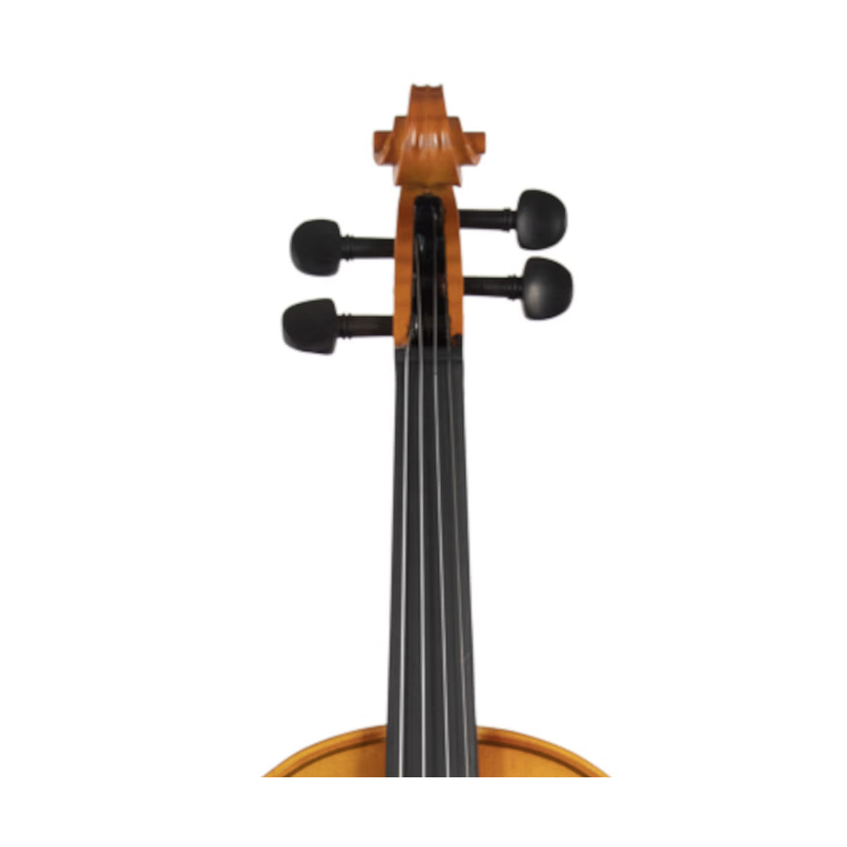 Granada Violin Moderato 4/4 Size Complete Set