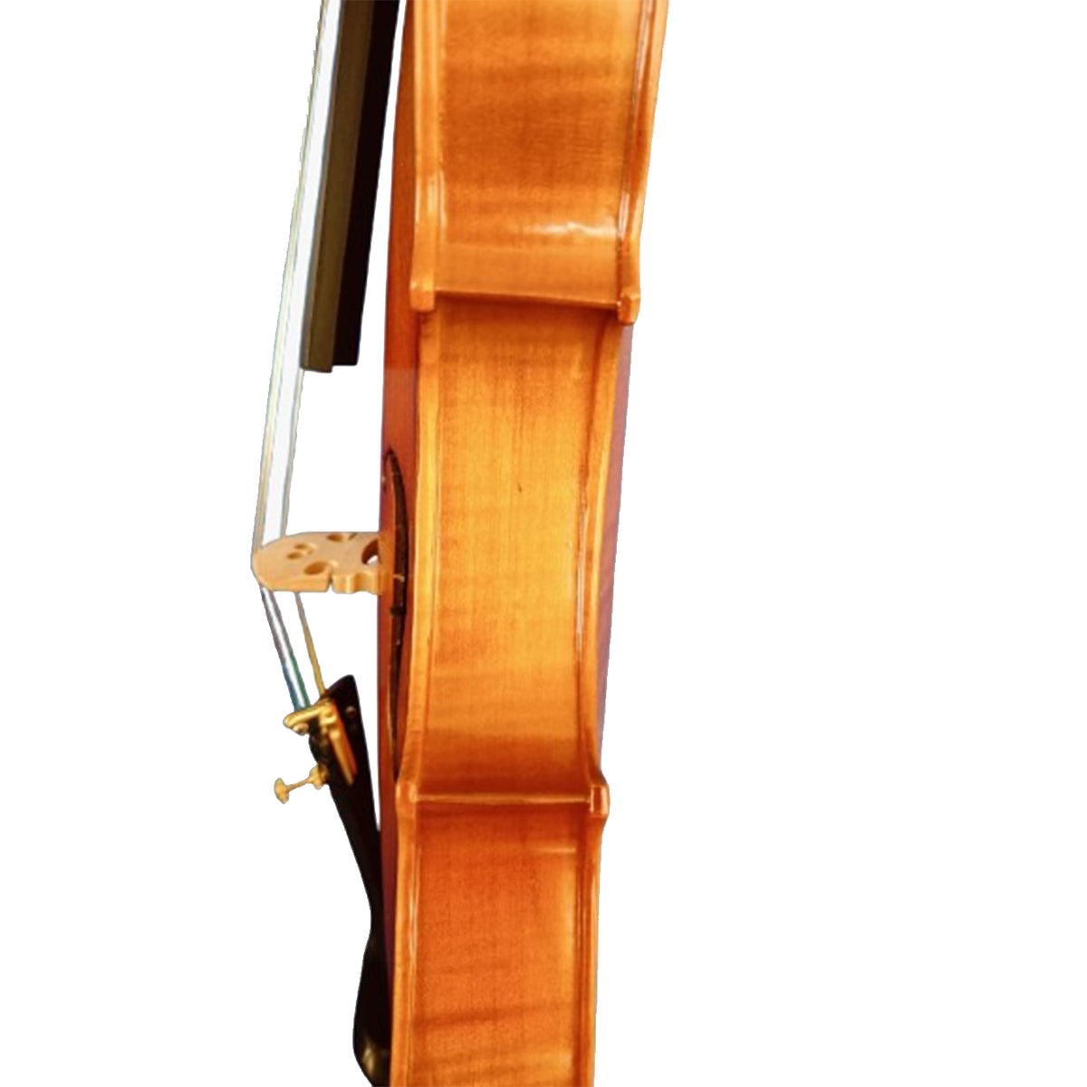 Sergio Tordini STC445G Glossy Solid Top Violin with Bow/Case/ and Rosin