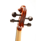 PR VNF101E Master Series Violin 4/4 – Vintage Sienna Gloss - Solid Spruce & Flame Maple