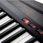 KORG KEYBOARD CONTROLLER RK 100 S RD