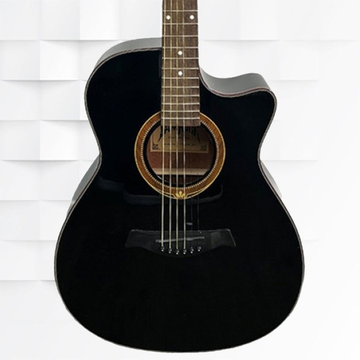 Tamrock TAG-4053 BK Acoustic Guitar