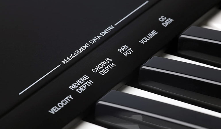 Alesis Q61 61-Key USB/MIDI Keyboard Controller