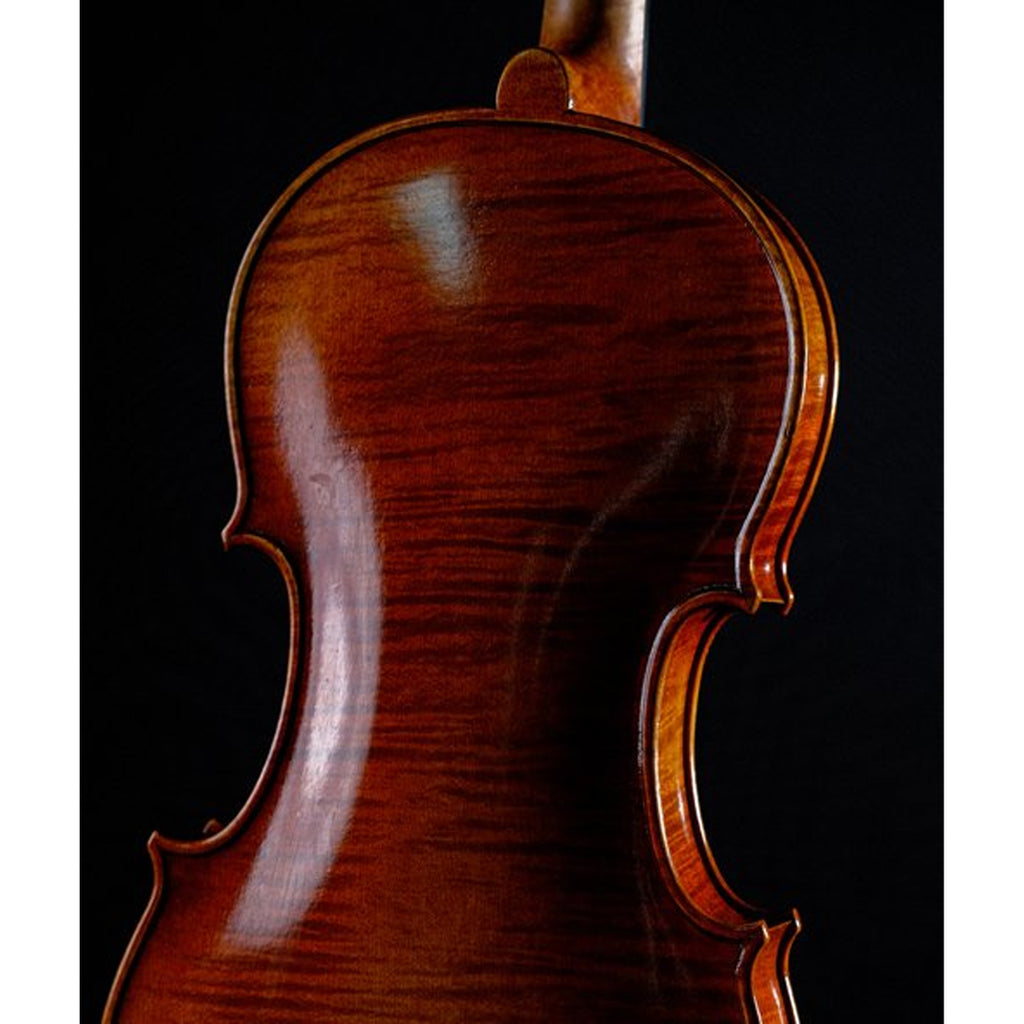 STRYDOM VIOLIN HV 41