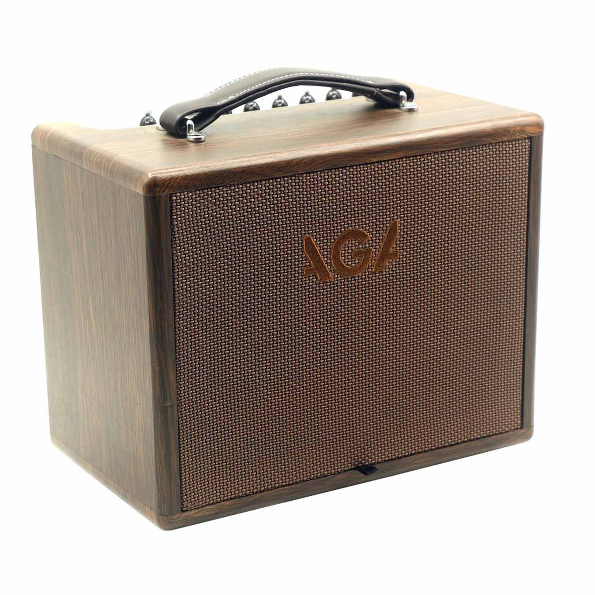 Procraft AGA SC-40 Acoustic Guitar Amplifier