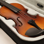 Procraft PR VS1 - Acoustic Violin with Bow, Rosin, Box