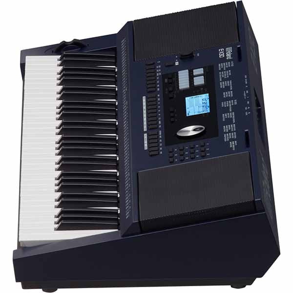 Roland EX-30 Portable Arranger Keyboard