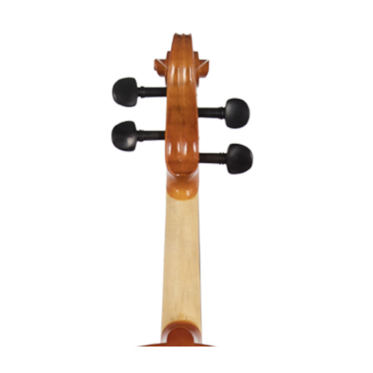 Granada Violin Moderato 4/4 Size Complete Set