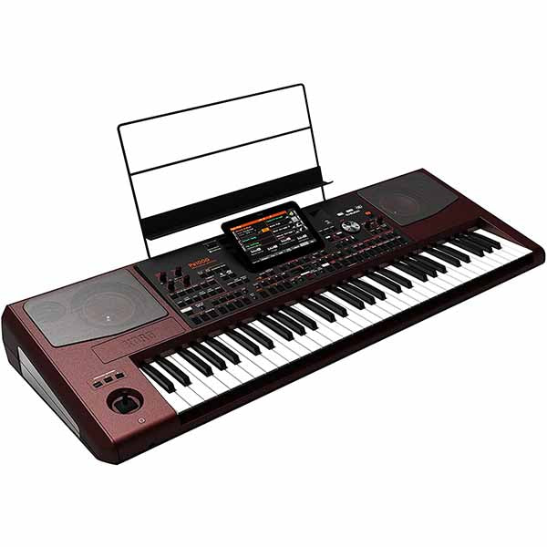 KORG PA1000 Professional Arranger+Indian Pack Micro SD Card