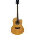 Pluto PA39C-201 Acoustic Guitar NT