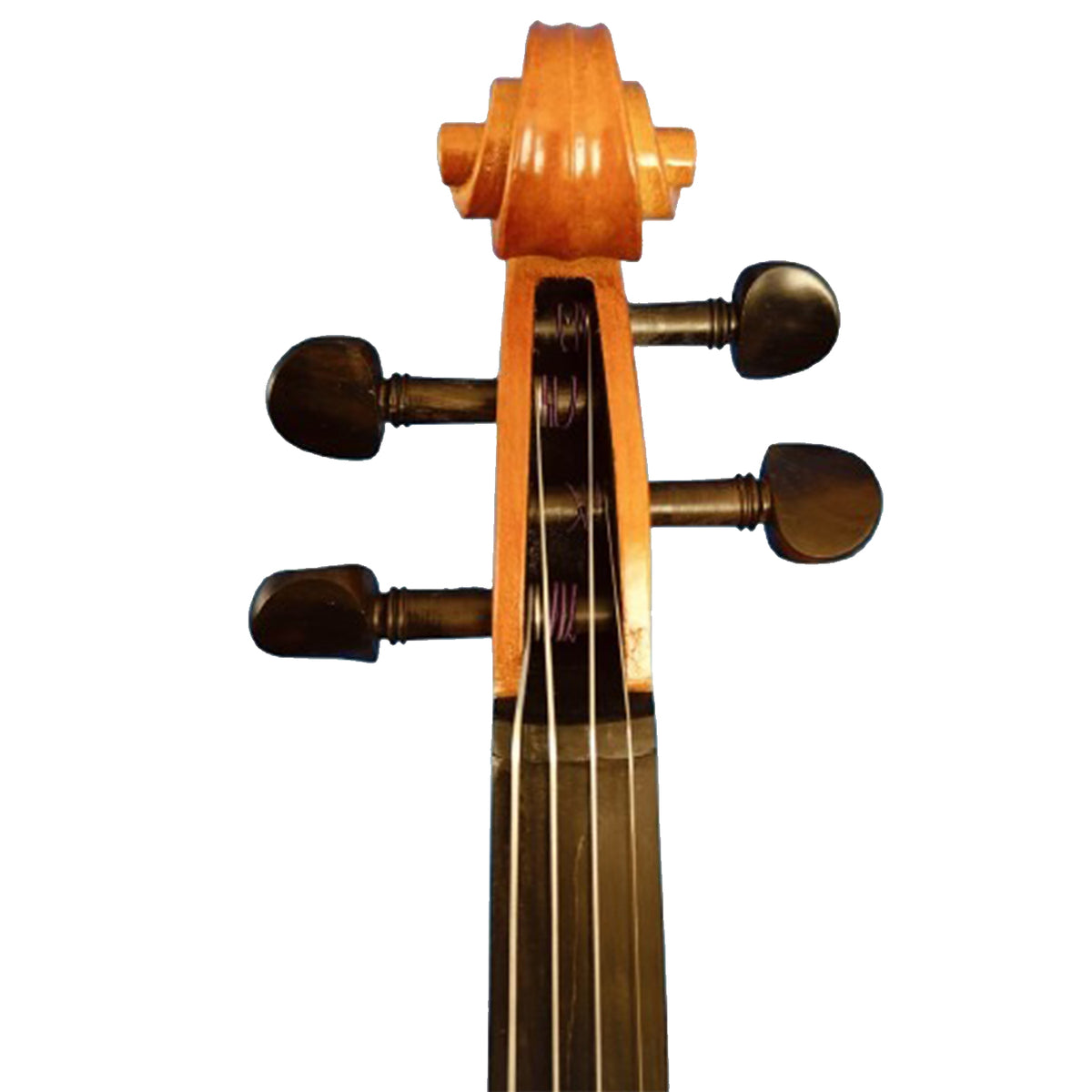 Sergio Tordini STC445G Glossy Solid Top Violin with Bow/Case/ and Rosin