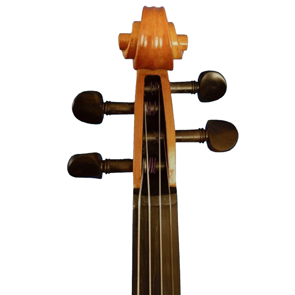 Sergio Tordini STC445M Matt Solid Top Violin with Bow/Case/ and Rosin