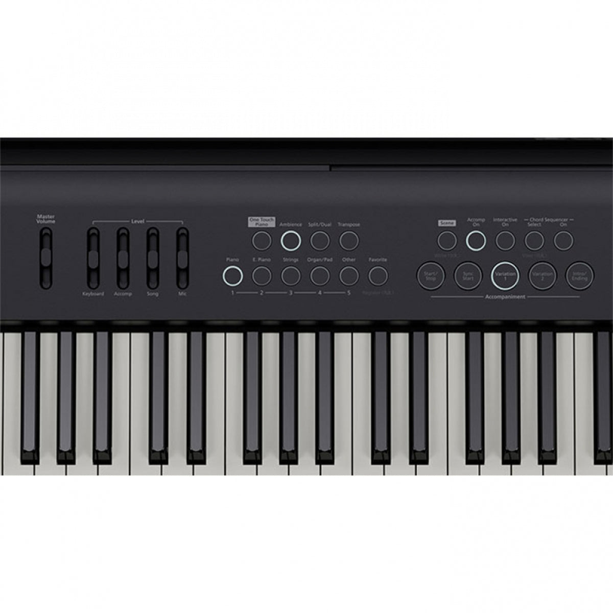Roland FP-E50 88-Key Portable Digital Piano