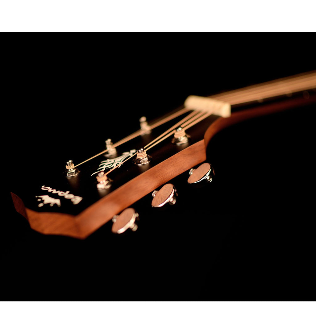 Kepma EDC-E Semi Acoustic Guitar - All Mahagony
