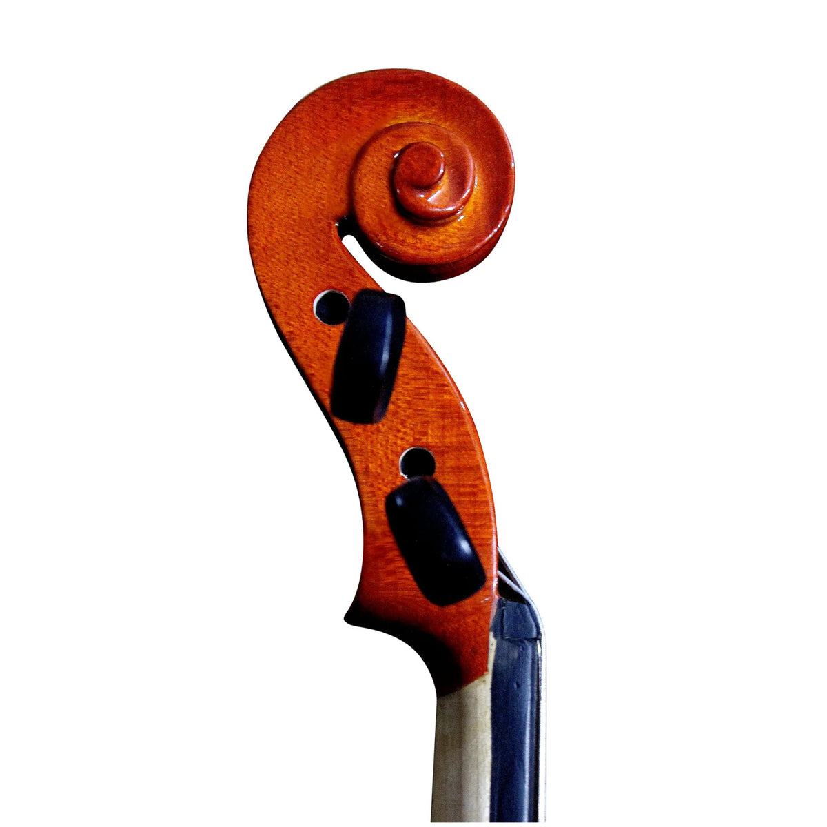 Santana MV012L-4/4 Violin Set - Laminated
