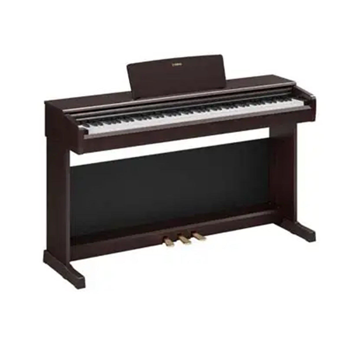 YAMAHA YDP-146R//Y2 WITH BENCH