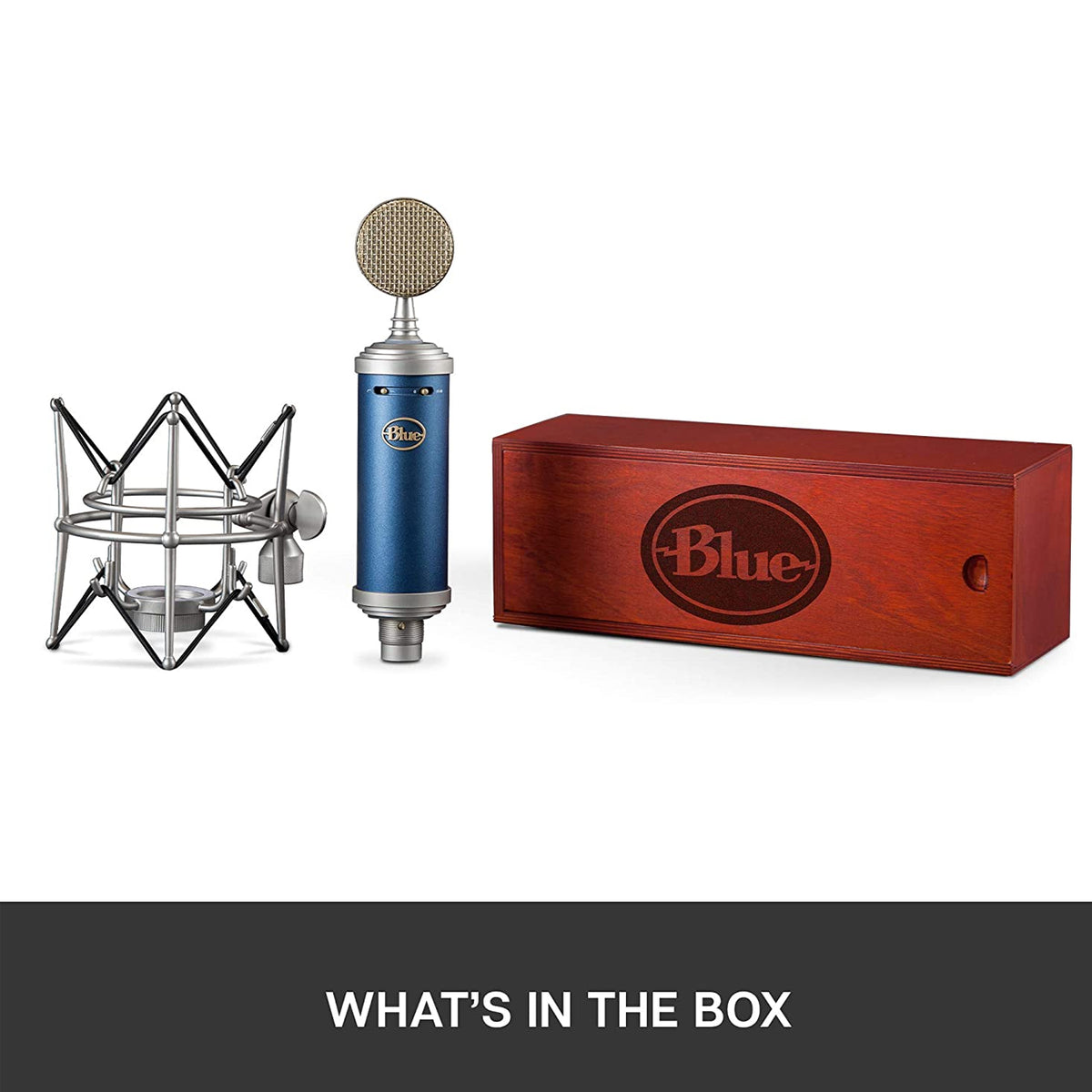 Blue Bluebird SL Mic