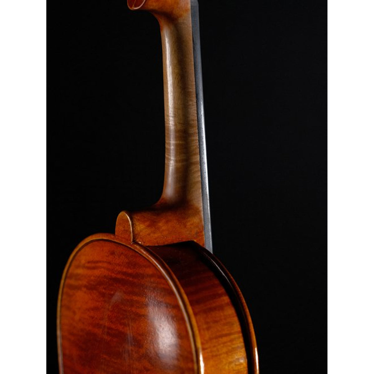 STRYDOM VIOLIN HV 41