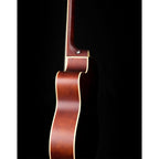 Richtone RT39C Sunburst matt cutaway guitar