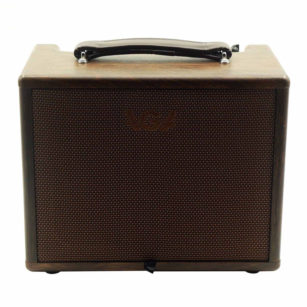 Procraft AGA SC-40 Acoustic Guitar Amplifier