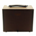 Procraft AGA SC-40 Acoustic Guitar Amplifier