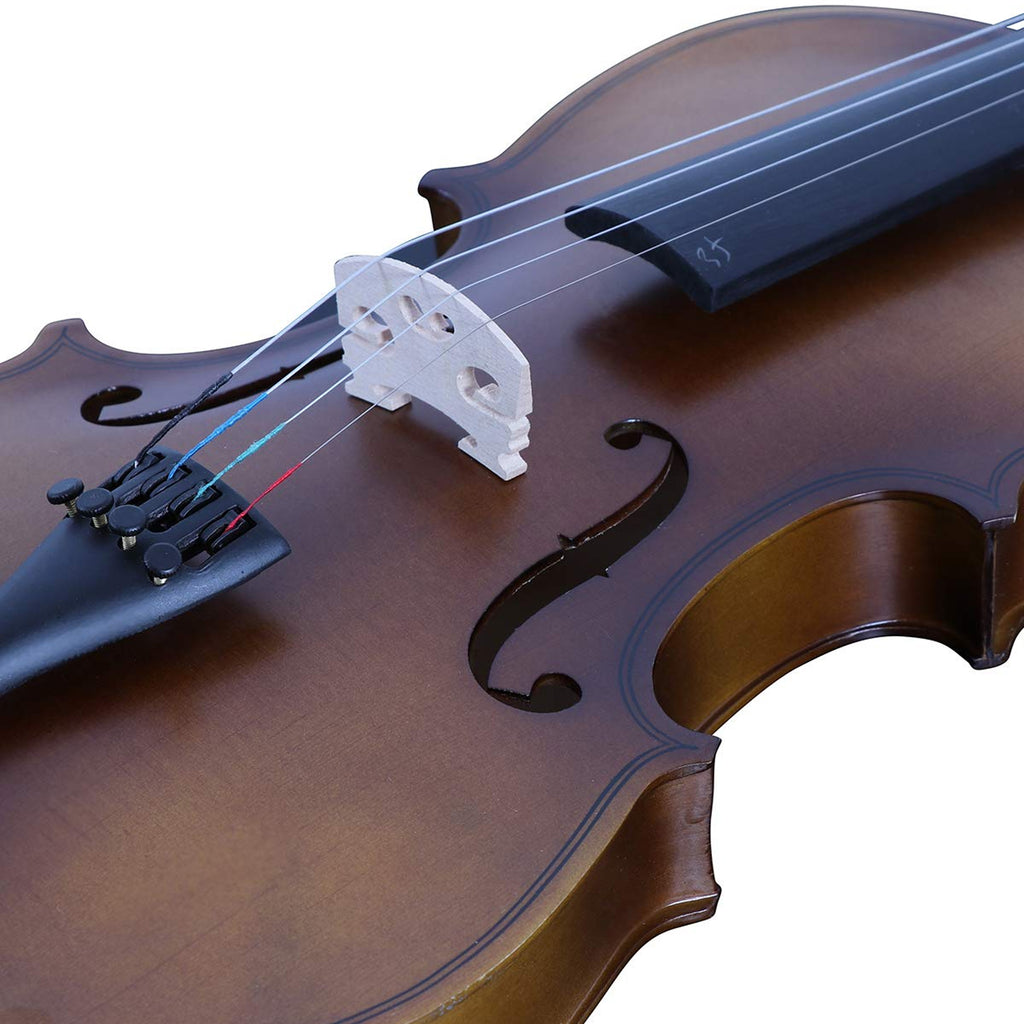 Procraft PR VS1 - Acoustic Violin with Bow-Rosin-Box - Dark Natural