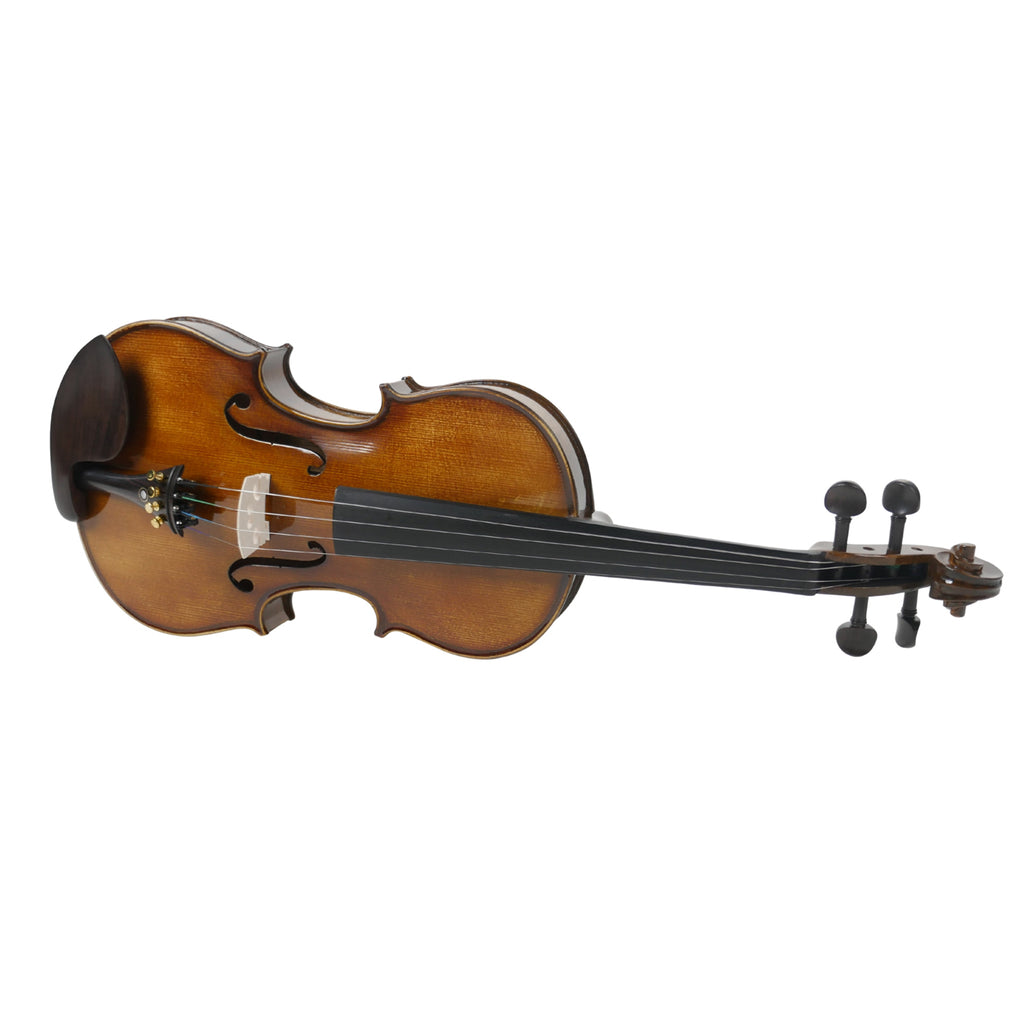 Procraft PR VHF301E 4/4 Violin