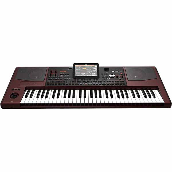KORG PA1000 Professional Arranger+Indian Pack Micro SD Card